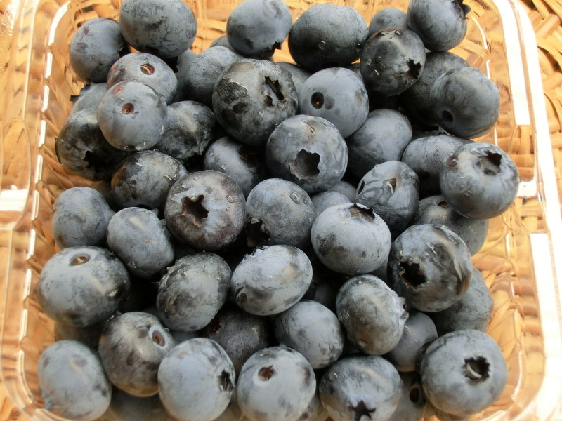 ※画像は生の状態です。冷凍して密閉できる保存袋に入れて発送いたします。