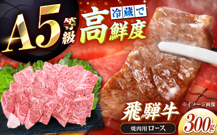 飛騨牛 A5等級 ロース 牛肉 和牛 焼肉 ステーキ BBQ 冷蔵 新鮮 高級 贈答 ギフト おすすめ 人気 岐阜県 恵那市