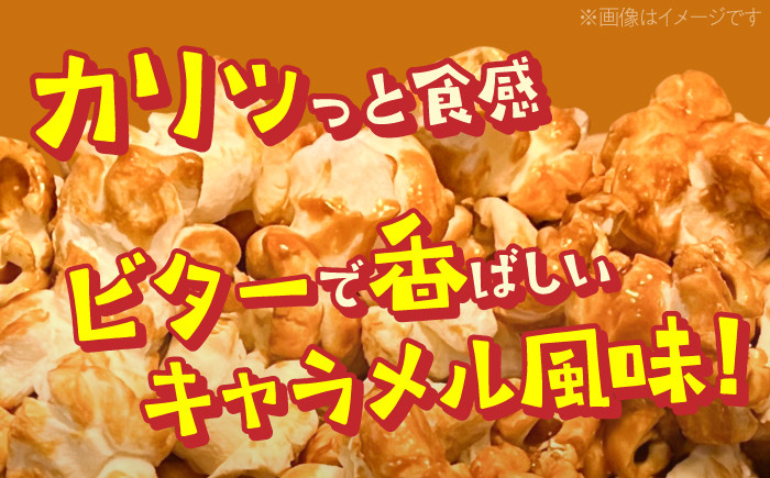 現代人にマッチしたグーな味！「マックのキャラメルポップコーン」 10袋セット [ATCC005]