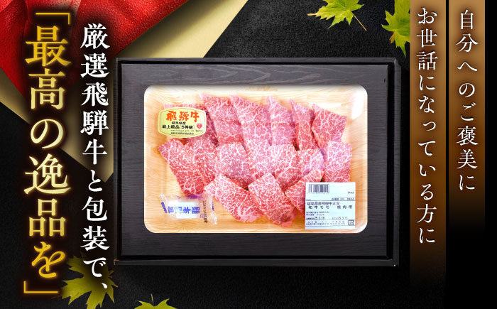 飛騨牛 A5等級 もも 牛肉 和牛 焼肉 ステーキ BBQ 冷蔵 新鮮 高級 贈答 ギフト おすすめ 人気 岐阜県 恵那市