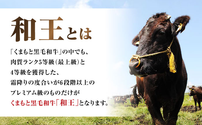 牛肉 和王 黒毛和牛 肉 サーロイン さーろいん わぎゅう リピート ごはん 贅沢 霜降り プレミア 高級