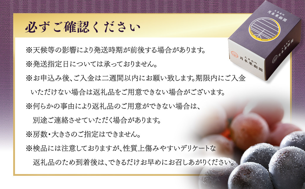 【定期便2回】 ［種なし］ 岡山県産 ニューピオーネ ・ クイーンニーナ 1kg箱（2房入り）