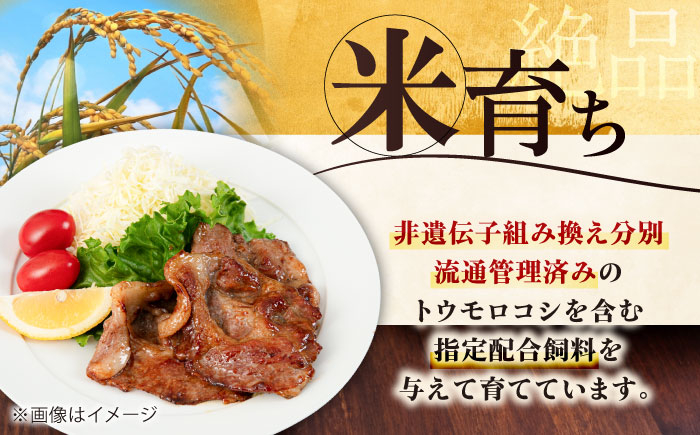 三元豚 肉 豚肉 ロース 生姜焼き スライス 冷凍配送 定期便 北海道 平田牧場