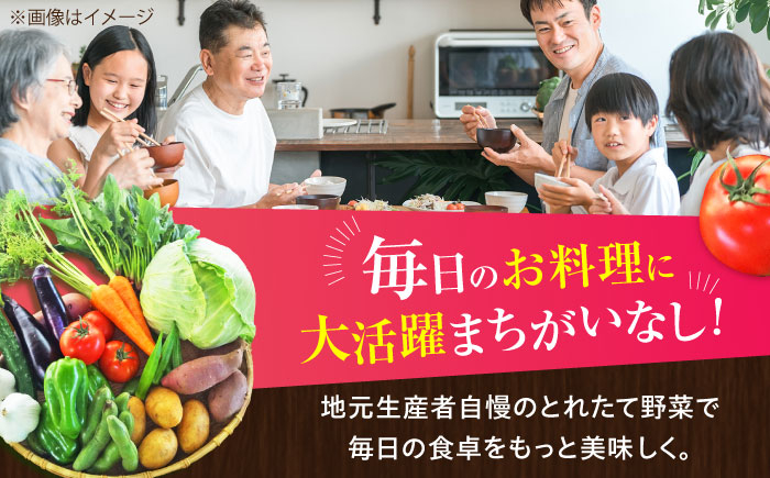 旬 野菜 セット 新鮮 詰合せ やさい 旬 おまかせ にんじん ごぼう 直売所 やさい 3kg サラダ 熊本県 特産品 菊陽町
