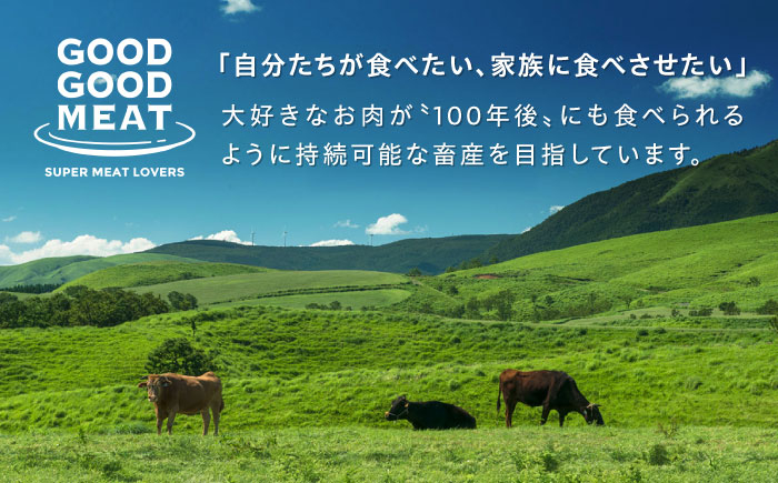 ハンバーグ 牛肉 豚肉 合い挽き 小分け 冷凍