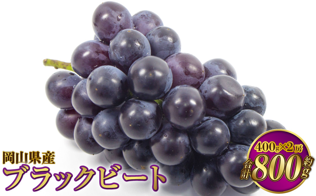 岡山県産 ブラックビート 約800g（約400g×2房）