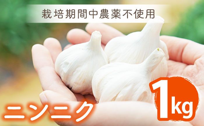 EA08 【無肥料・無農薬】 ニンニク 1kg【浅田峠自然塾】-1