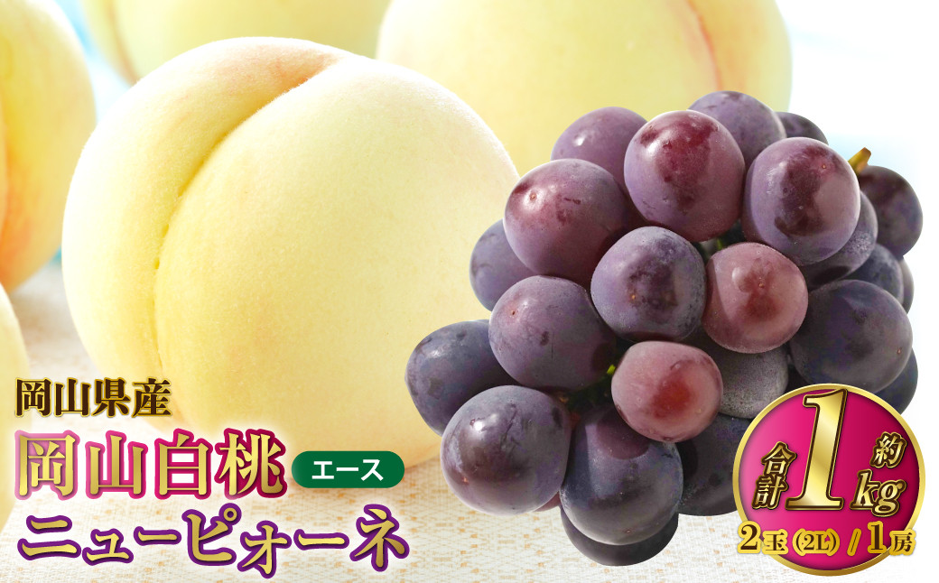岡山県産 岡山白桃 エース 2Lサイズ 約250g×2玉・ニューピオーネ 約500g×1房 詰合せ