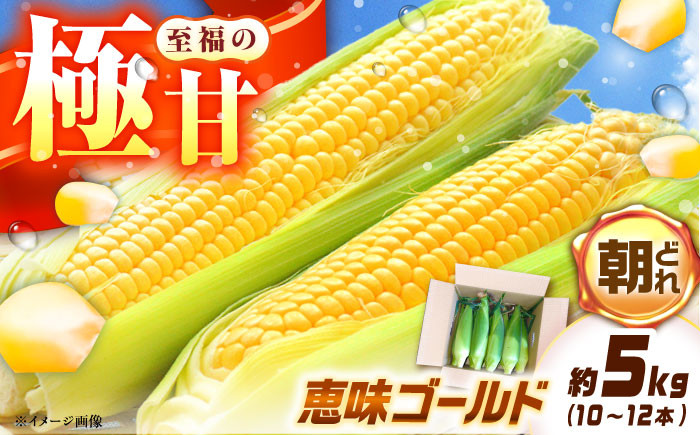 とうもろこし 恵味ゴールド 約5kg(梱包込)