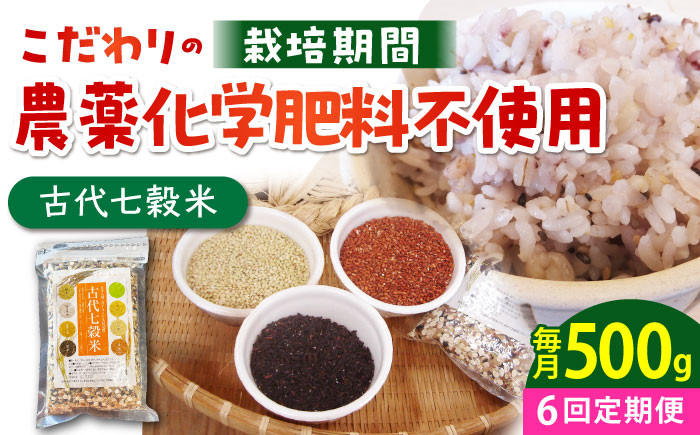 定期便 雑穀 雑穀米 古代米 発芽玄米 玄米 黒米 麦 ヒエ アワ 佐賀