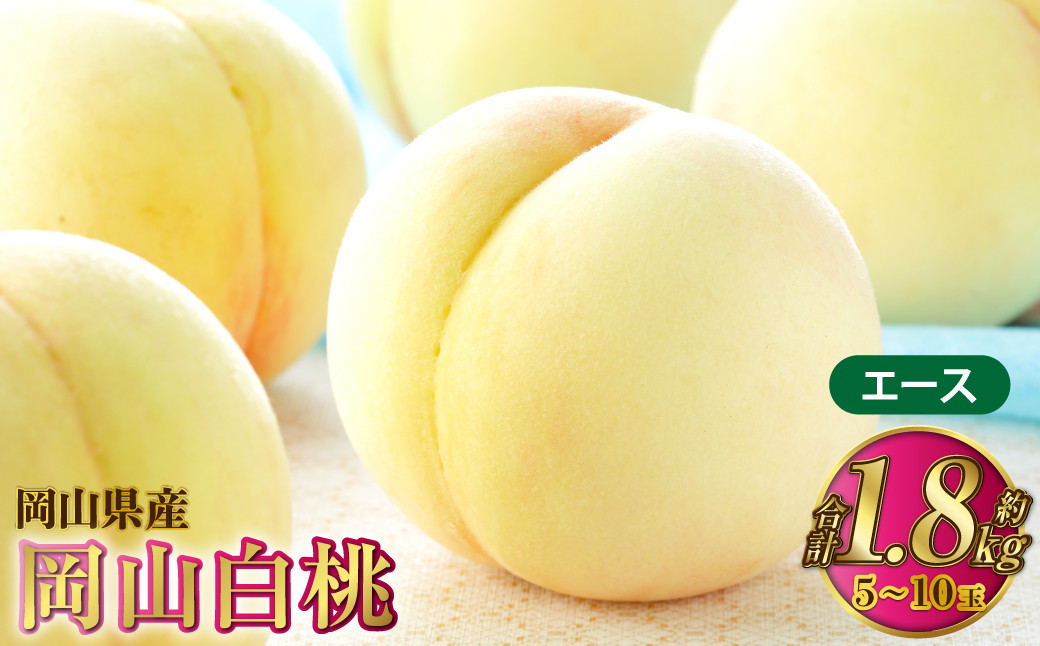 岡山白桃 エース 5～10玉 約1.8kg 岡山県産