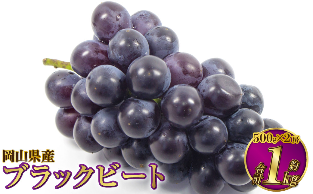 岡山県産 ブラックビート 約1kg（約500g×2房）