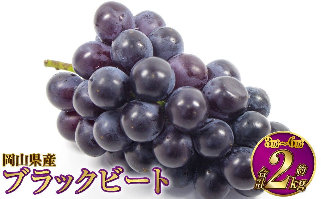 岡山県産 ブラックビート 約2kg（3房～6房）