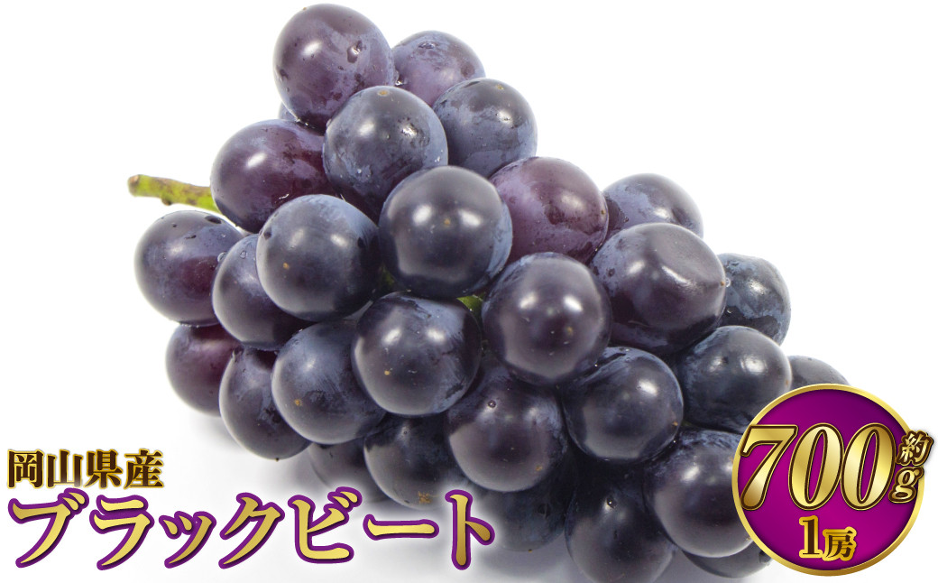 岡山県産 ブラックビート 約700g（1房）