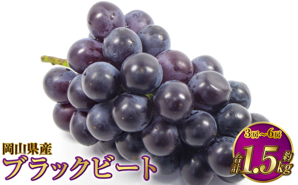 岡山県産 ブラックビート 約1.5kg（3房～6房）