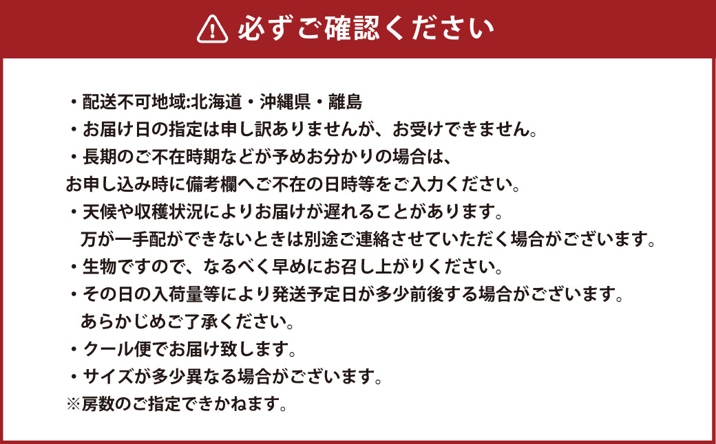 岡山県産 ブラックビート 約2kg（3房～6房）