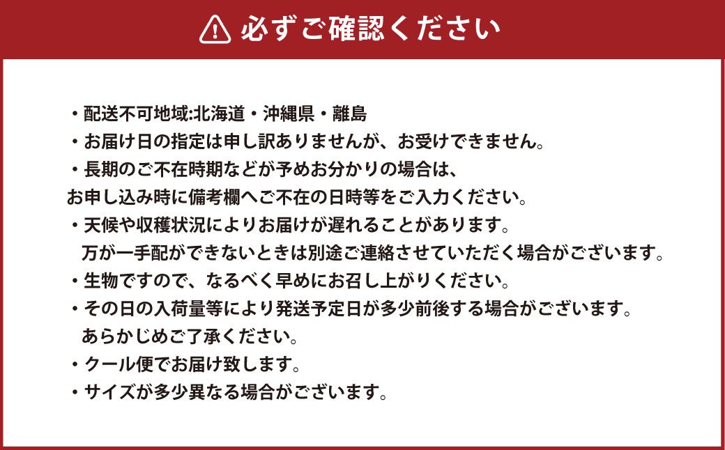 岡山白桃 ロイヤル 4～8玉 約1.5kg 岡山県産