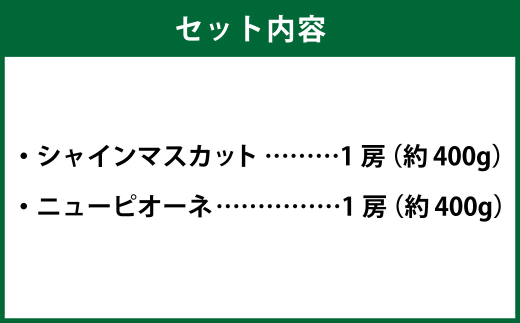 岡山県産 シャインマスカット 晴王・ニューピオーネ Lサイズ 計約800g 詰合せ