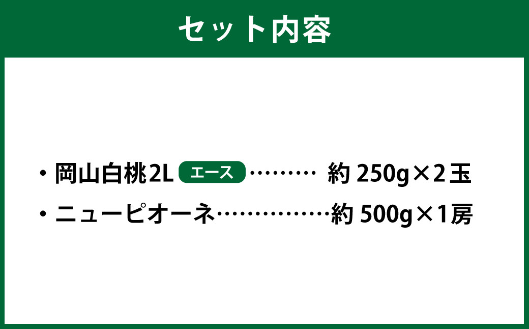 岡山県産 岡山白桃 エース 2Lサイズ 約250g×2玉・ニューピオーネ 約500g×1房 詰合せ