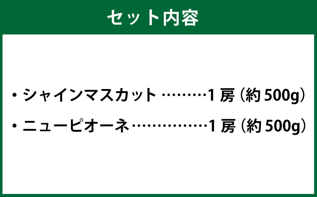 岡山県産 シャインマスカット 晴王・ニューピオーネ 2Lサイズ 計約1kg 詰合せ