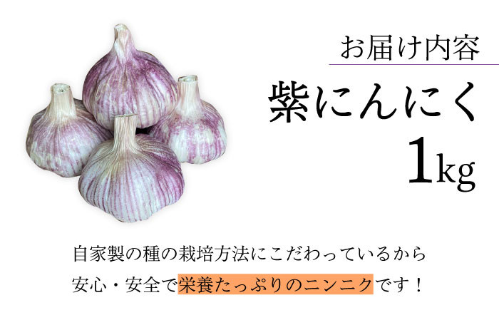紫 にんにく 1kg 栽培期間中 農薬不使用 ニンニク