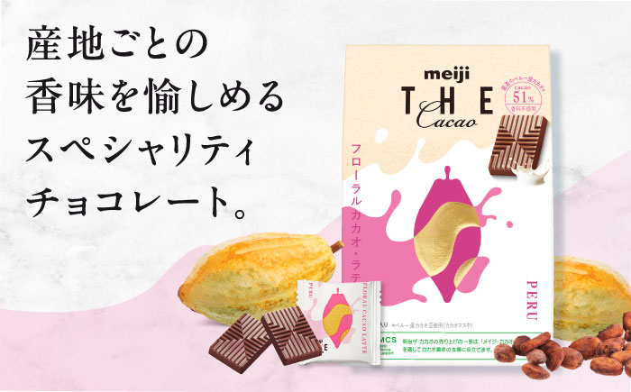 お菓子 おやつ チョコレート チョコ ザ・カカオ カカオ 高カカオ カカオ50％以上 50 以上 50％ 大容量 個包装