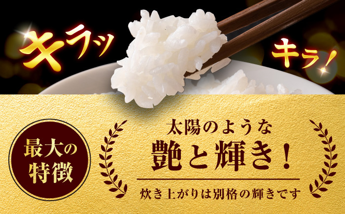 米 こめ 白米 ヒノヒカリ ブランド米 ご飯 ごはん