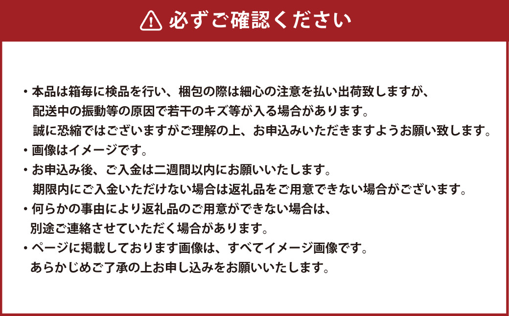 岡山県産 ブラックビート 約800g（約400g×2房）