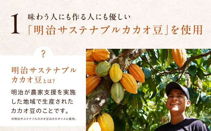 お菓子 おやつ チョコレート チョコ ザ・カカオ カカオ 高カカオ カカオ70％以上 70 以上 70％ 大容量 個包装 