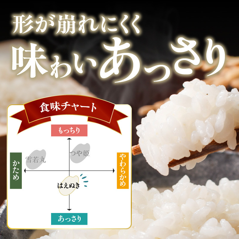 《先行受付》【新米】大江町産 はえぬき 10kg(5kg×2袋)【山形県産】【2025年度産米 10月頃より順次発送予定】