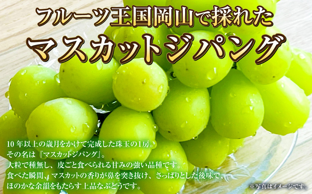 岡山県産 マスカットジパング 約800g（1房）