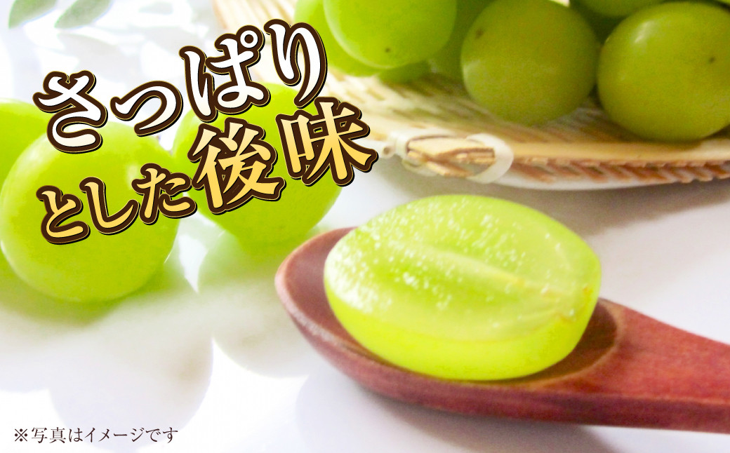 岡山県産 マスカットジパング 約800g（1房）