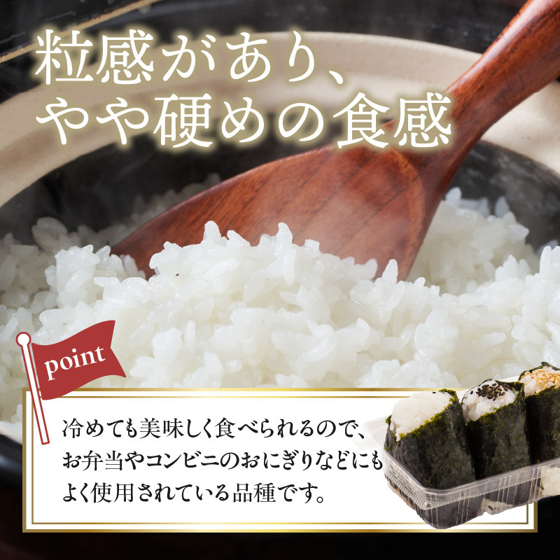 《先行受付》【新米】大江町産 はえぬき 10kg(5kg×2袋)【山形県産】【2025年度産米 10月頃より順次発送予定】