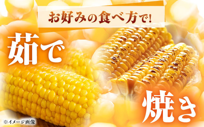 とうもろこし 恵味ゴールド 約5kg(梱包込)