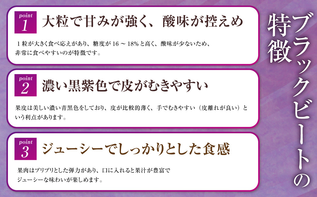 岡山県産 ブラックビート 約2kg（3房～6房）