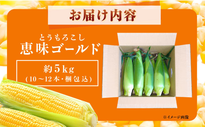 とうもろこし 恵味ゴールド 約5kg(梱包込)