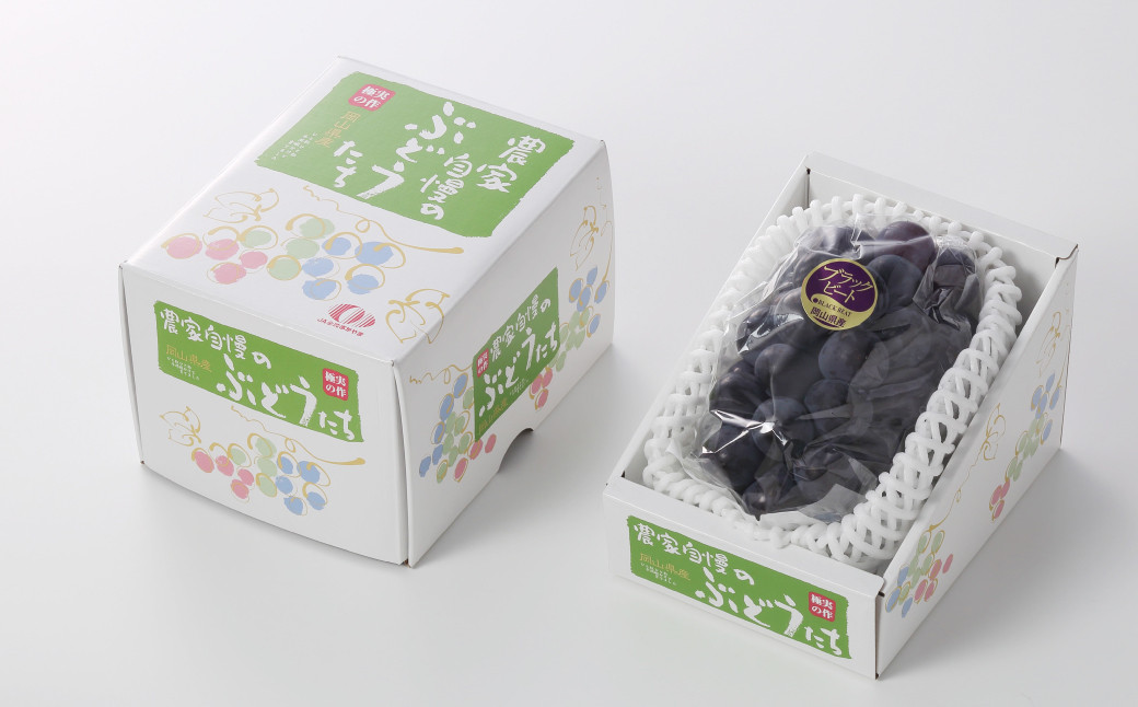 岡山県産 ブラックビート 約700g（1房）