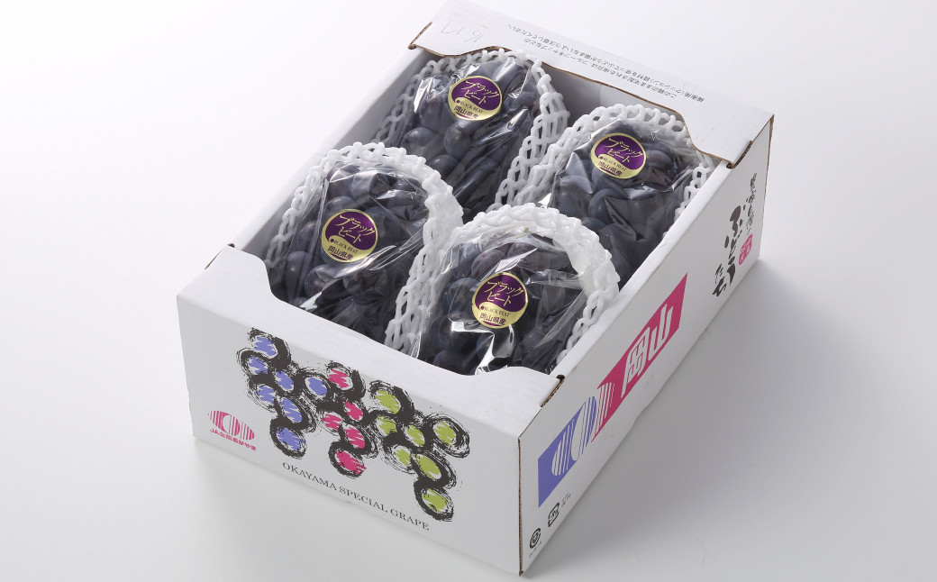 岡山県産 ブラックビート 約2kg（3房～6房）