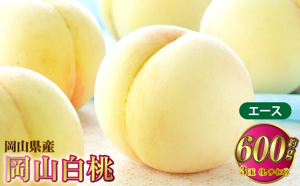 岡山白桃 エース 3玉×約200g（Lサイズ） 計約600g 岡山県産