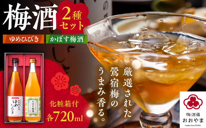 梅酒 梅 ウメ プレゼント お酒 ギフト 誕生日 プレゼント 手土産 アルコール 度数 カボス かぼす