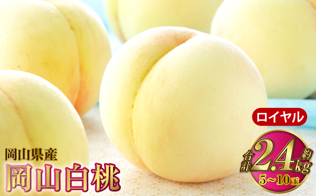 岡山白桃 ロイヤル 5～10玉 約2.4kg 岡山県産