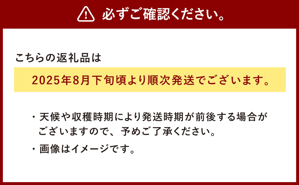 相良村産 栗 丹沢 2kg 