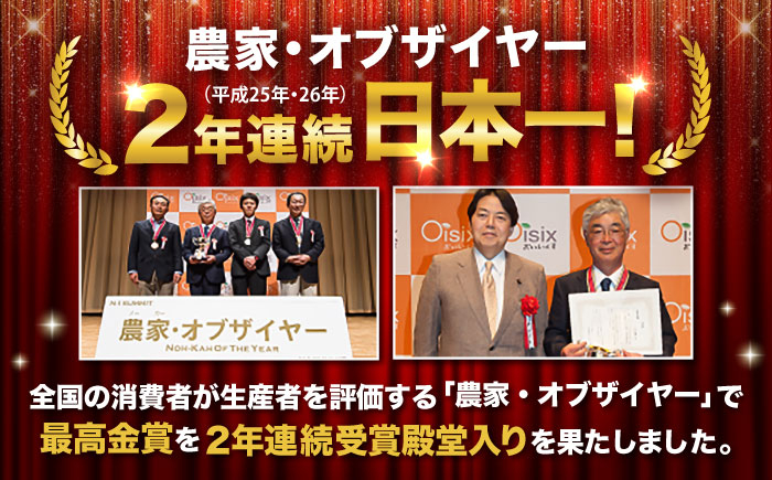 にんじん ニンジン 野菜 β-カロテン 食物繊維 抗酸化作用 栄養満点 熊本県産 菊陽町 