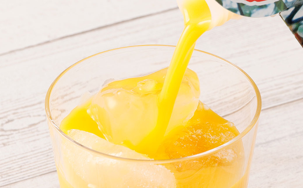 天城町産 生搾り完熟果汁100% 宝果樹園 ミニタンカンジュース 2本セット