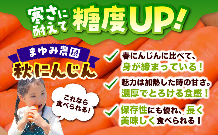 にんじん ニンジン 野菜 β-カロテン 食物繊維 抗酸化作用 栄養満点 熊本県産 菊陽町 