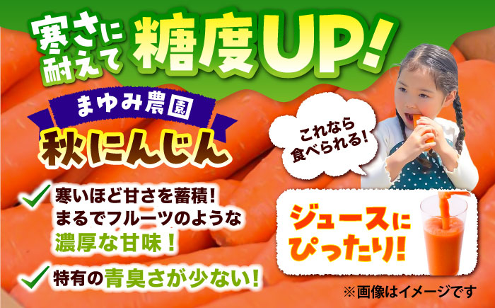 にんじん ニンジン 野菜 β-カロテン 食物繊維 抗酸化作用 栄養満点 熊本県産 菊陽町 
