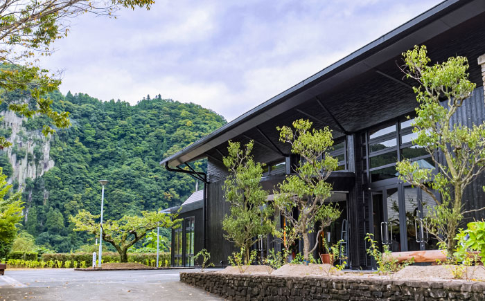 梅酒 うめしゅ 本格梅酒 梅 おさけ お酒 アルコール リキュール 熟成