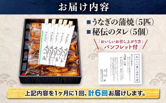国産 ウナギ うなぎ 鰻 5尾 蒲焼き 丑の日 うしの日 かばやき 6回定期便 