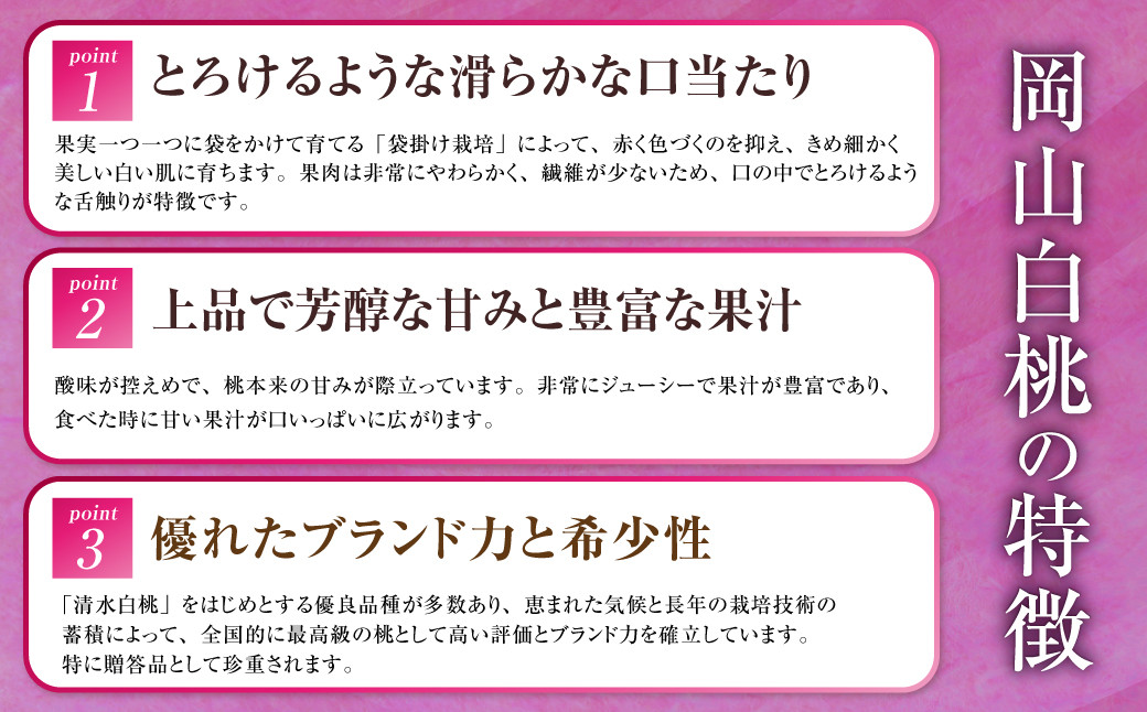 岡山白桃 エース 5～10玉 約2kg 岡山県産