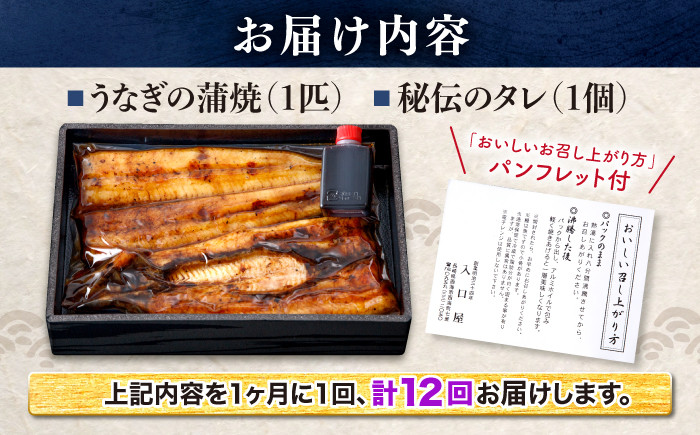国産 ウナギ うなぎ 鰻 1尾 蒲焼き 丑の日 うしの日 かばやき 12回定期便 